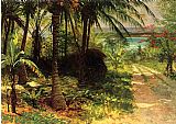 Tropical Landscape